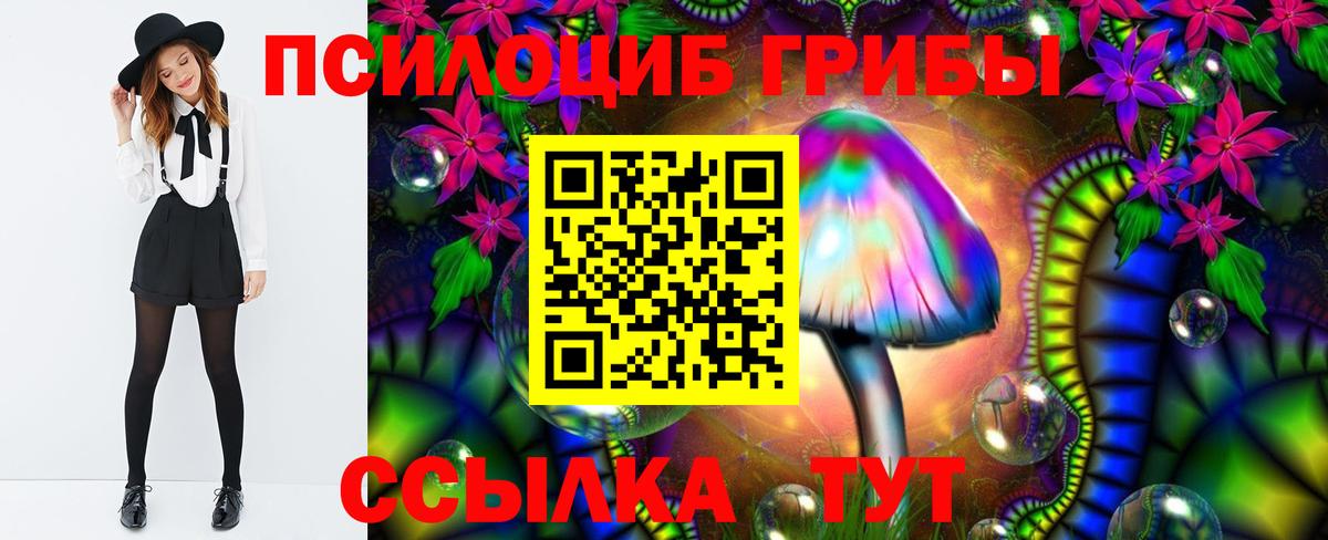 Галлюциногенные грибы Psilocybe Шали