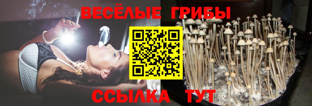 Галлюциногенные грибы ЛСД  Галлюциногенные грибы Cubensis  Шали  Вход с VPN 