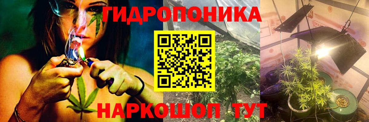 Шали  Марихуана планчик  Вход с VPN  Марихуана сатива 