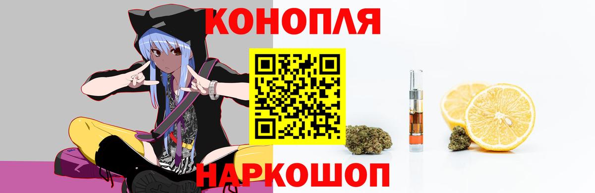 Канабис сатива Шали